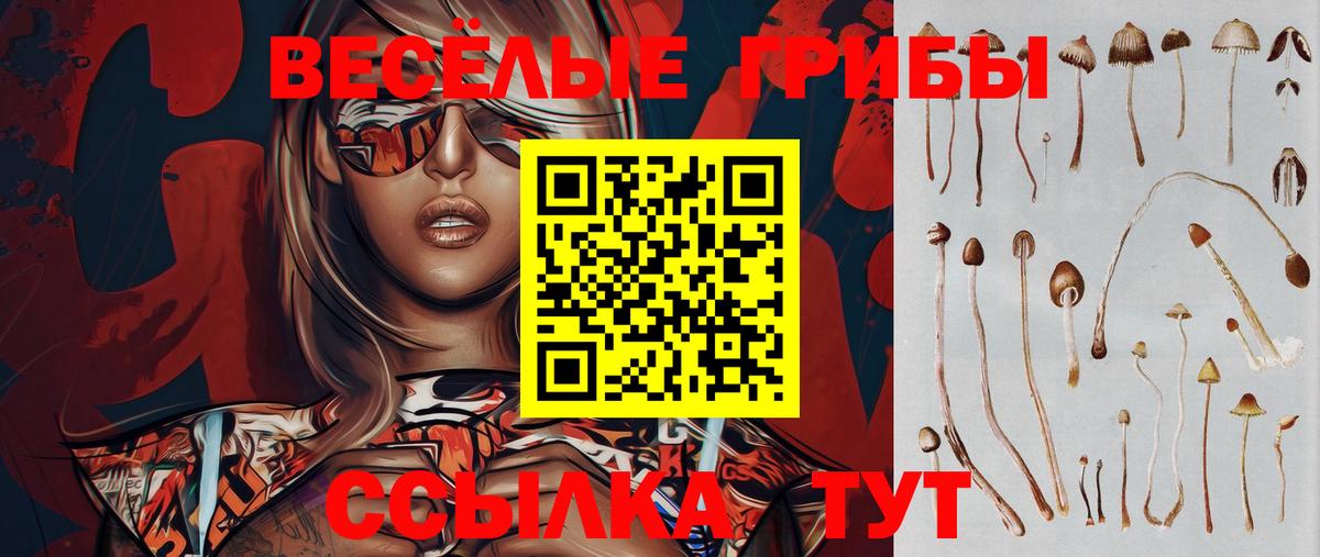 Псилоцибиновые грибы Psilocybe  Псилоцибиновые грибы Psilocybine cubensis  Когалым  Вход с VPN 